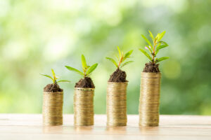 Read more about the article Green finance – loans for a better tomorrow