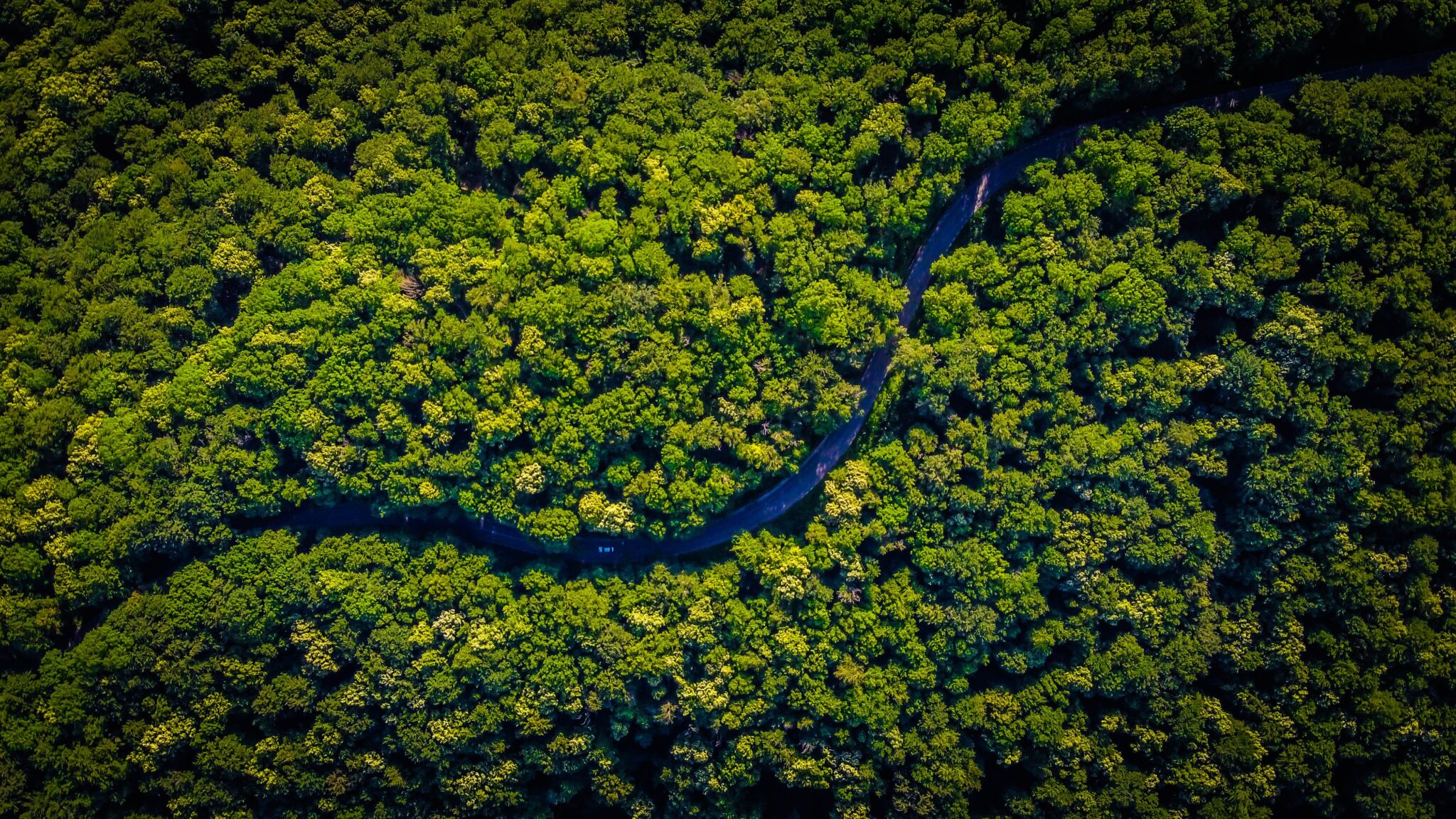 what-should-an-environmentally-responsible-company-look-like-from-the