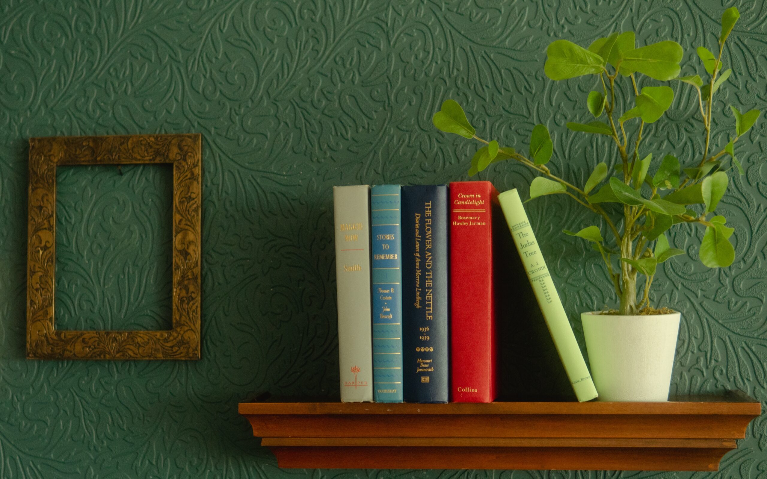 You are currently viewing Reading list 2024